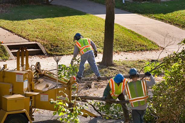 Emergency Storm Tree Removal in Leeds, AL